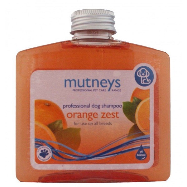 Orange Zest Shampoo 250ml Price in Doha Qatar