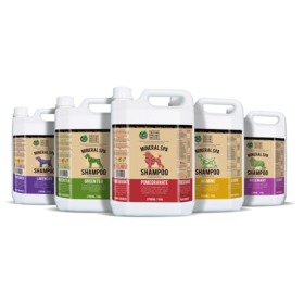 Reliq – Shampoo – Green Tea (1gallon) Price In Doha Qatar