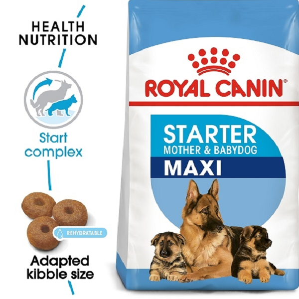 Royal Canin – Maxi Starter 15 Kg Price in Doha Qatar