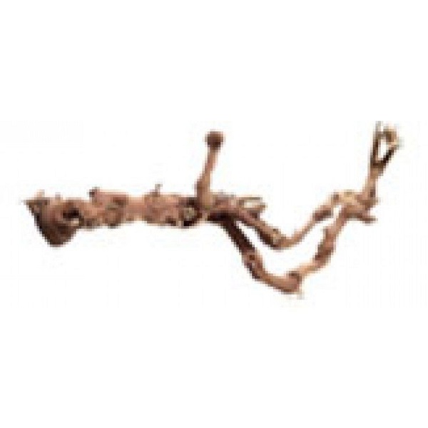 Grapevines Small Décor For Reptiles Price In Doha Qatar