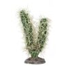Cactus Simpson Décor For Reptiles Price In Doha Qatar