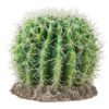 Cactus Sonora L Décor For Reptiles Price In Doha Qatar