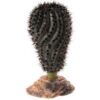 Cactus Gobi Décor For Reptiles Price In Doha Qatar