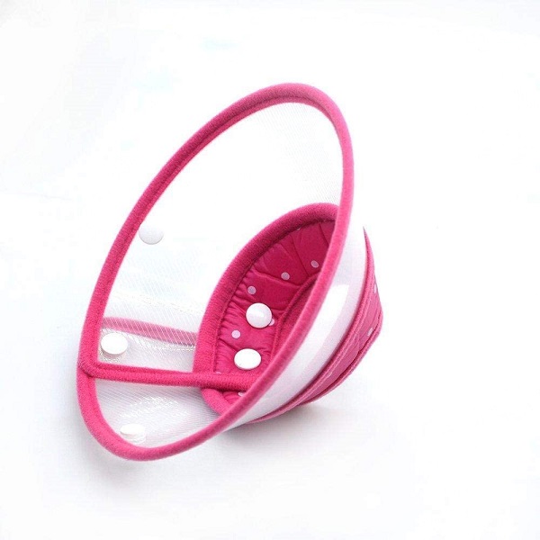 Pet Recovery Collar Cone Elizabethan Collar For Puppy Kitten Size S Price in Doha Qatar