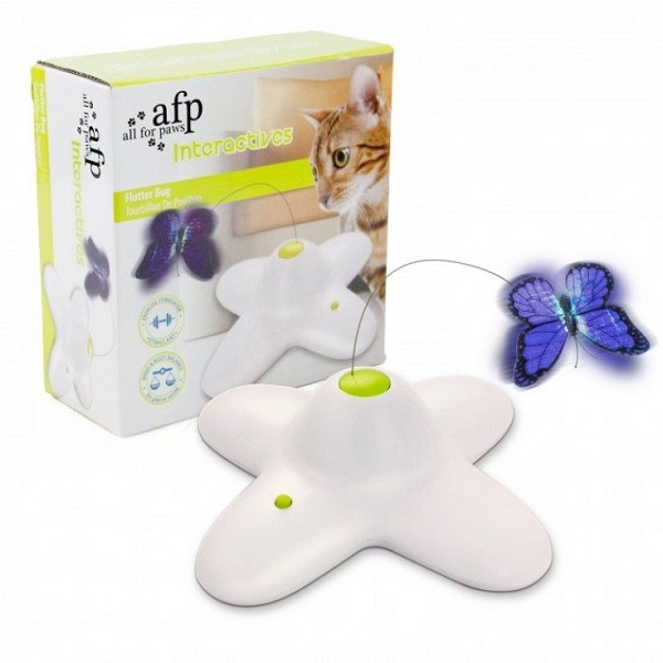 Flutter Bug – Cat Toy Price in Doha Qatar