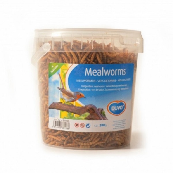 Duvo Meal Worms Bucket 200gm Food For Birds Price in Doha Qatar