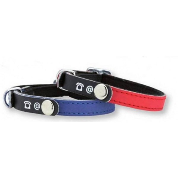 Porte-Adresse – Blue Color Cat Collar Price in Doha Qatar
